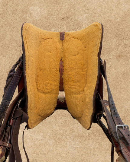 15.5" Craig Cameron by Cactus Saddlery | Western Saddle