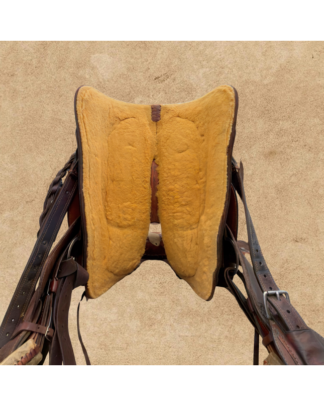 15.5" Craig Cameron by Cactus Saddlery | Western Saddle