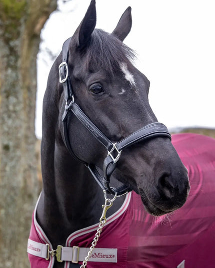 LeMieux Stitched Leather Halter