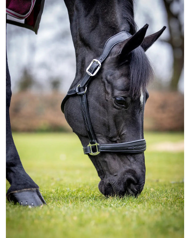 LeMieux Stitched Leather Halter