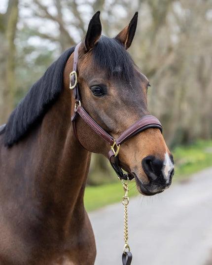LeMieux Stitched Leather Halter