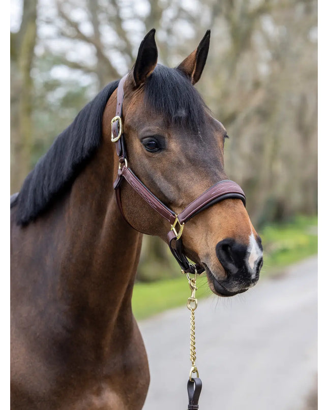 LeMieux Stitched Leather Halter