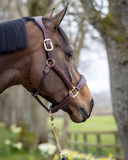 LeMieux Stitched Leather Halter