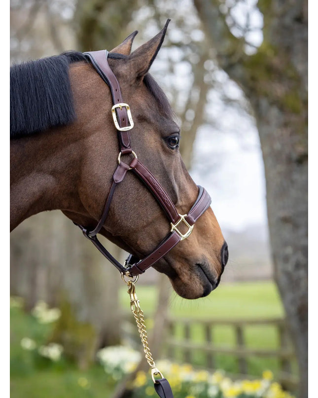 LeMieux Stitched Leather Halter